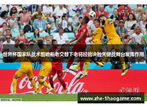 世界杯国家队战术前瞻新老交替下老将经验决胜关键战舞台发挥作用