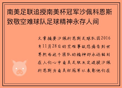 南美足联追授南美杯冠军沙佩科恩斯致敬空难球队足球精神永存人间